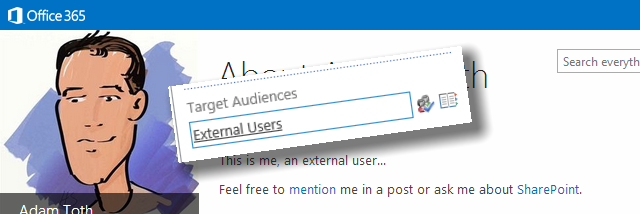 Audiences for External Users